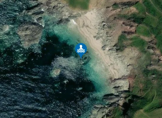 Satellite image of Venerick's Cove