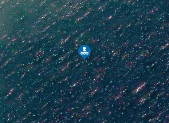 Satellite image of Freshwater East