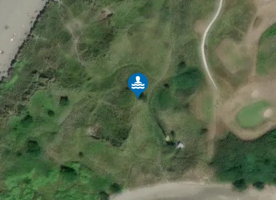 Satellite image of Newport Sands