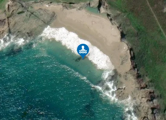 Satellite image of Rinsey
