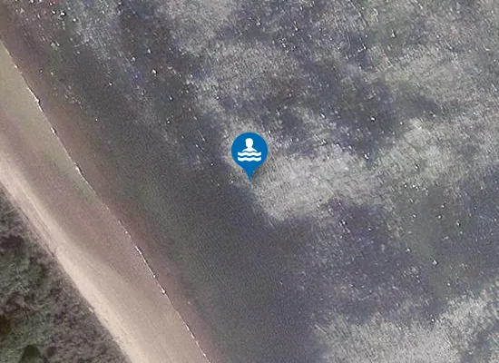 Satellite image of Tyne Sands