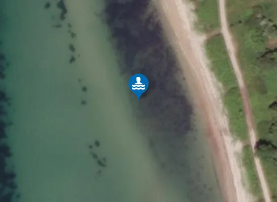 Satellite image of SKØDSHOVED SYD