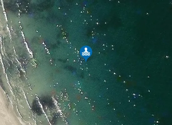 Satellite image of Balcomie Sands