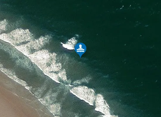 Satellite image of Cheswick Sands