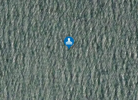 Satellite image of Coatham Sands