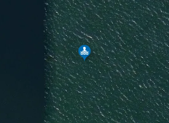Satellite image of Whiteness Beach (Secret Beach)