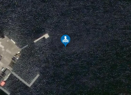 Satellite image of Chase Open Water Swimming