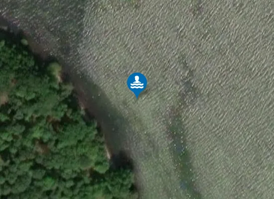 Satellite image of GULDBORG