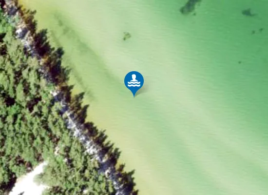 Satellite image of TÕRVANINA