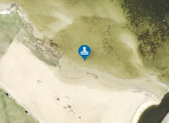 Satellite image of PARALEPA RAND