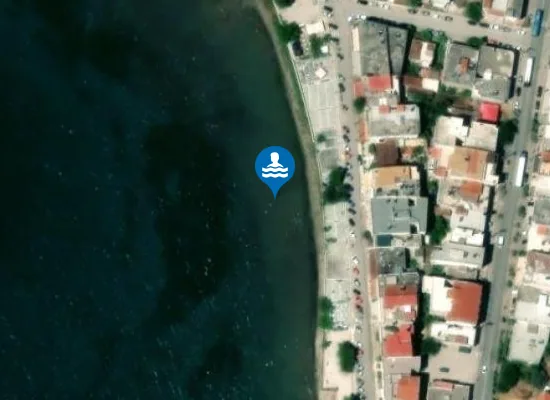 Satellite image of NEA ARTAKI