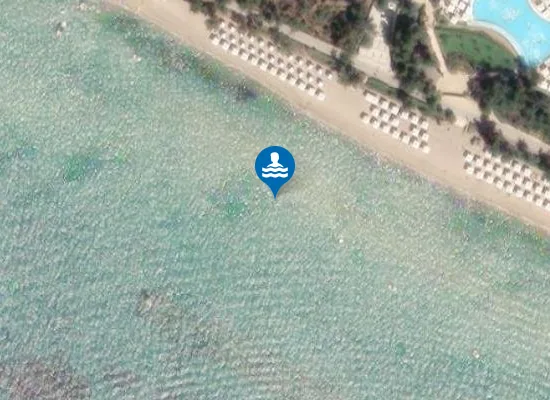 Satellite image of ELAIONA