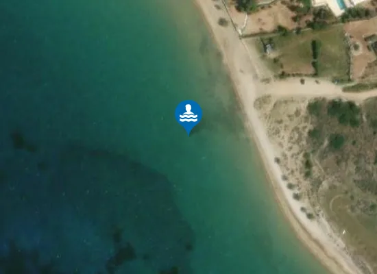 Satellite image of DELFINI