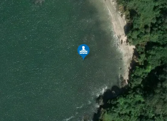 Satellite image of PLAYA CHAMOSO PM1