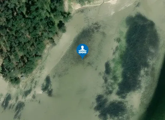 Satellite image of PLAYA O ARI?O PM1