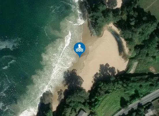 Satellite image of PLAYA MAR?N PM1