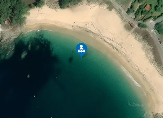 Satellite image of PLAYA AREA DE BON PM1