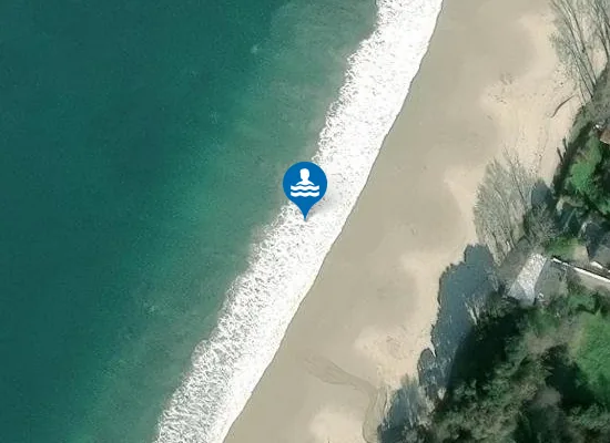 Satellite image of PLAYA LAPAM?N PM1