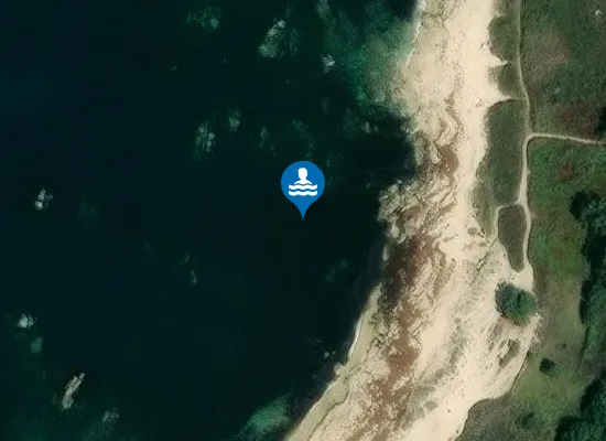 Satellite image of PLAYA CASTI?EIRA - GROVE PM1