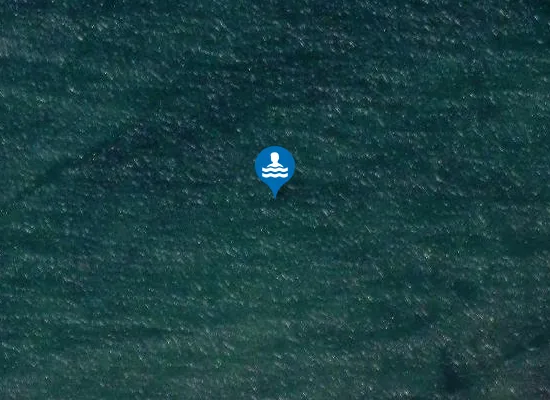 Satellite image of PLAYA DE SALINAS PM1