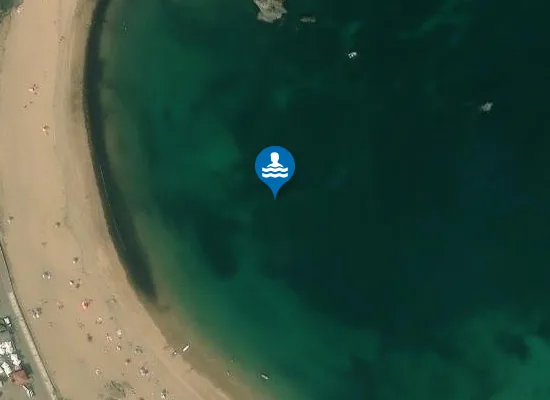 Satellite image of PLAYA DE LA ISLA PM1