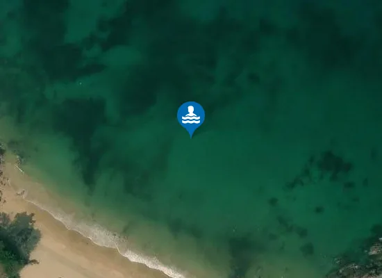 Satellite image of PLAYA DE LA ISLA PM2