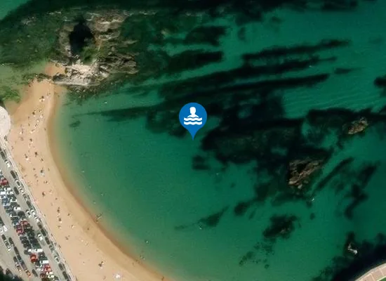 Satellite image of PLAYA CAMELLO PM1