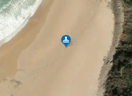 Satellite image of PLAYA DE LOS LOCOS PM1