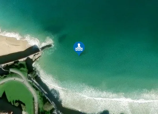 Satellite image of PLAYA DE LA CONCHA PM2