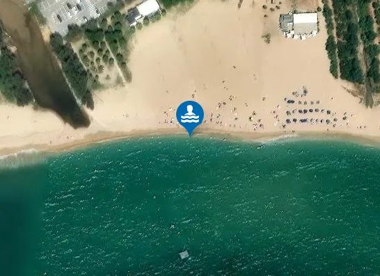 Satellite image of PLAYA DE LA PIC?RDIA PM1