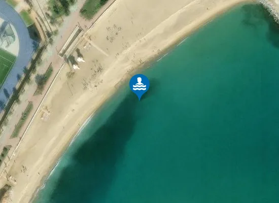 Satellite image of PLAYA DE LA MAR BELLA PM1