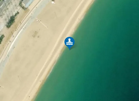 Satellite image of PLAYA DEL BOGATELL PM1