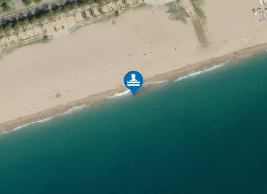 Satellite image of PLAYA DE GARB? PM1