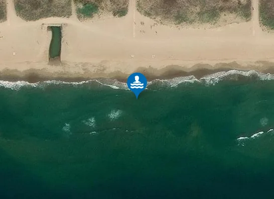 Satellite image of PLAYA DE LA PINEDA PM1