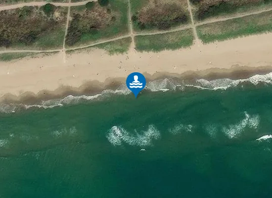 Satellite image of PLAYA DE GAV? PM2