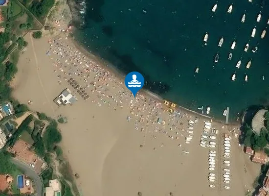 Satellite image of PLAYA DE SA RIERA PM1