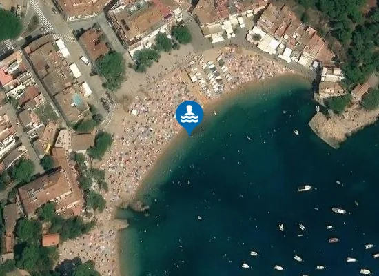 Satellite image of PLAYA DE TAMARIU PM1