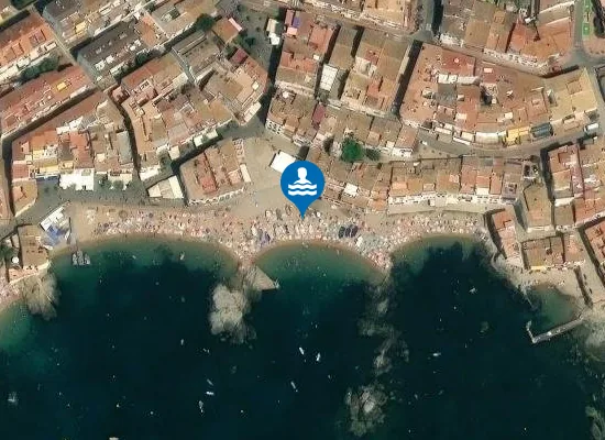 Satellite image of PLAYA DE PORT BO PM1