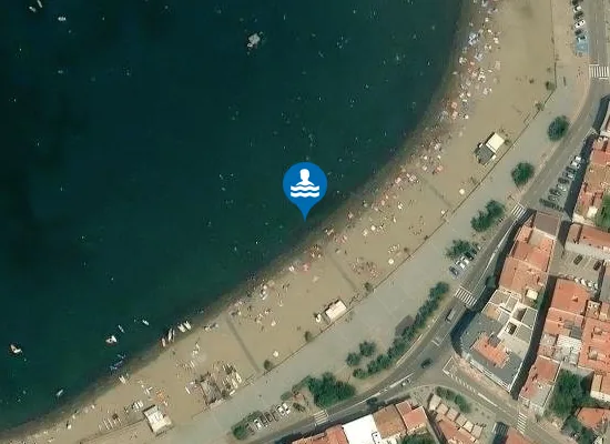 Satellite image of PLAYA DEL PORT DE LA SELVA PM1