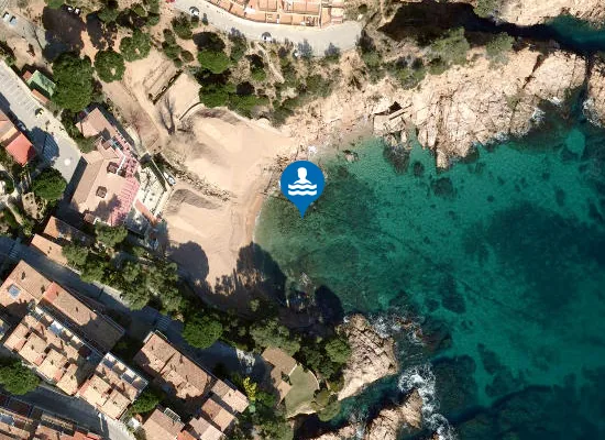 Satellite image of PLAYA CALA SALION? PM1