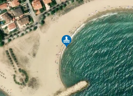 Satellite image of PLAYA DE L'ARDIACA PM1