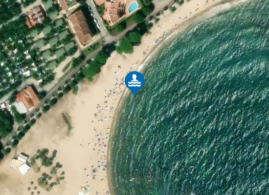 Satellite image of PLAYA DE L'ARDIACA PM2