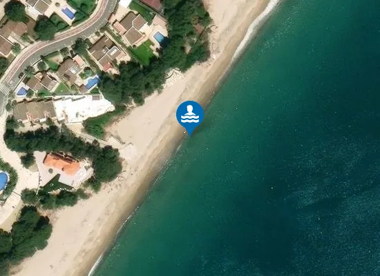 Satellite image of PLAYA CALA VIENESOS-PLATJA DELS ESPENYALS PM1