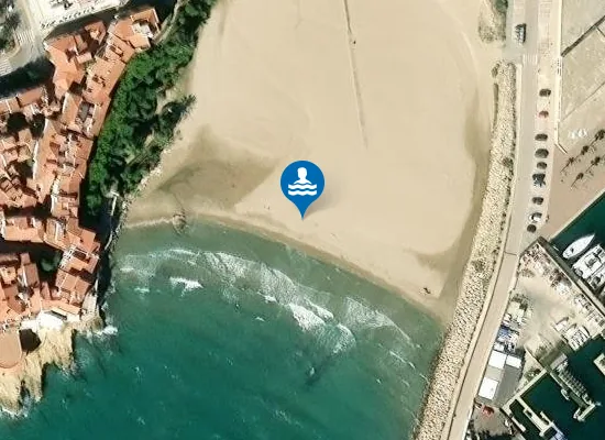 Satellite image of PLAYA DE LA PALLISSETA PM1