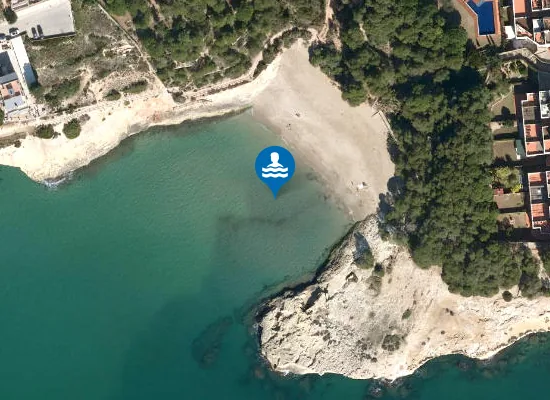 Satellite image of PLAYA DEL CANYADELL PM1