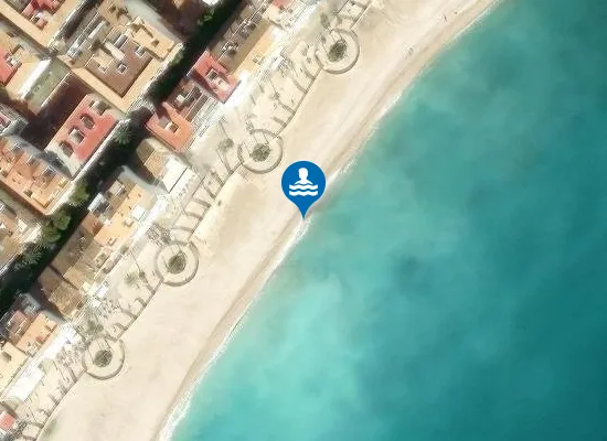 Satellite image of PLAYA DE L'ESPIG? PM1