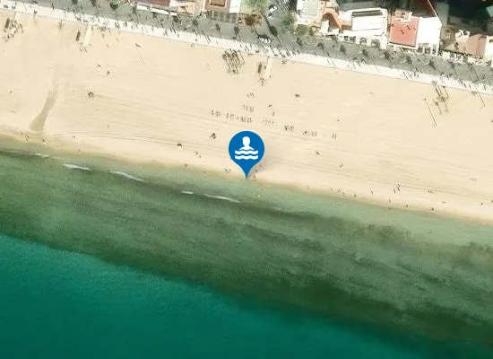 Satellite image of PLAYA DE LLEVANT PM1