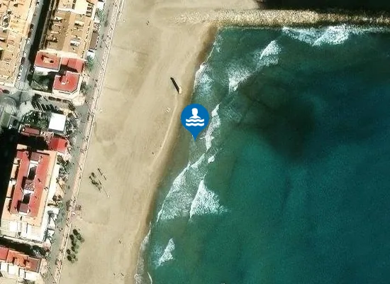 Satellite image of PLAYA DEL CARRER DE LA MAR PM1