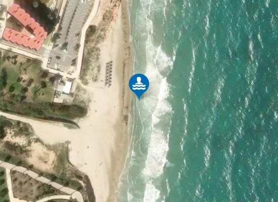 Satellite image of PLAYA MIL PALMERAS PM1