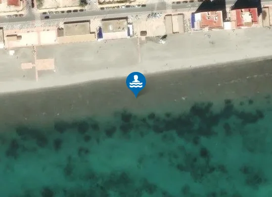 Satellite image of PLAYA GRAN PLATJA PM1